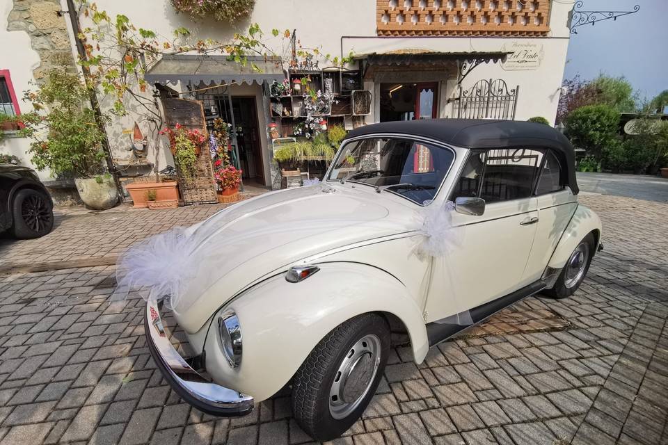 Maggiolino cabrio