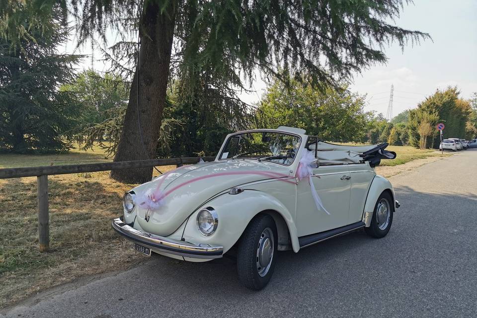 Maggiolino Cabriolet Bianco