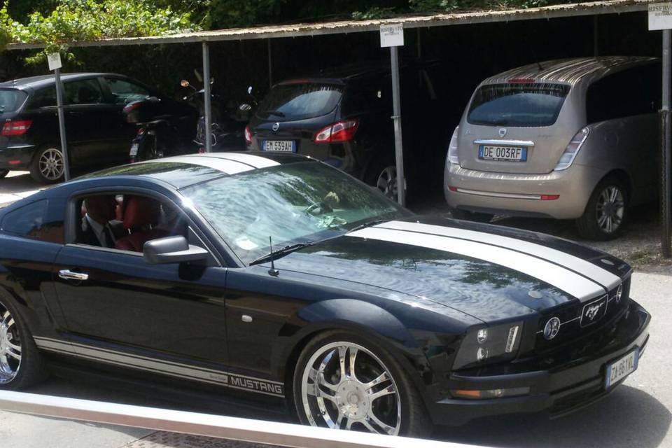 Mustang