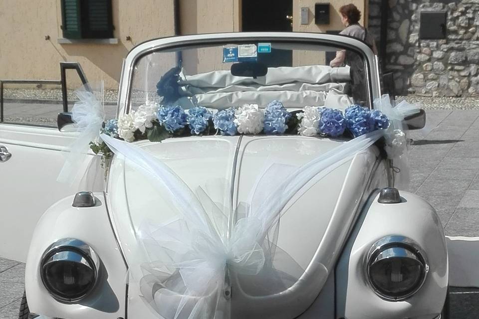 Maggiolino cabrio Bianco