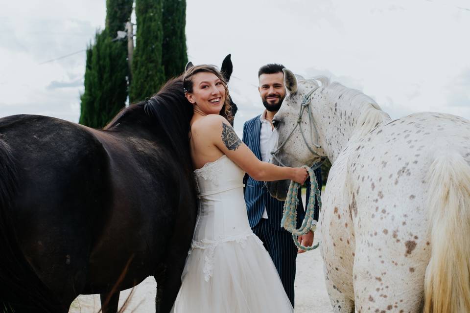 Matrimonio con cavalli