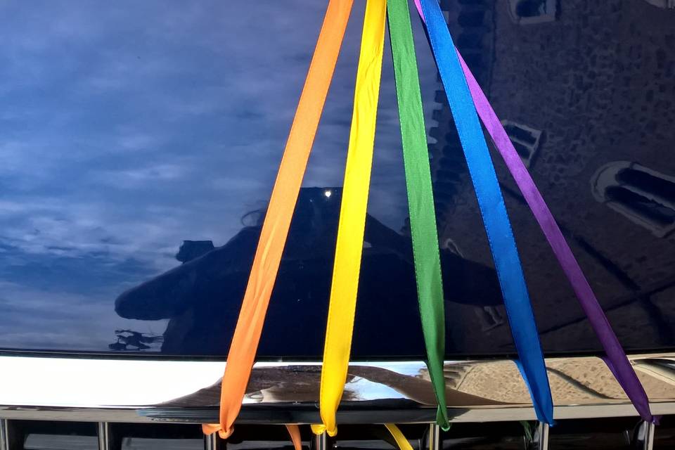 Fiocco arcobaleno auto