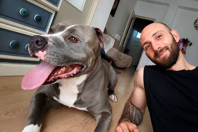 Esperienza con cani di taglie