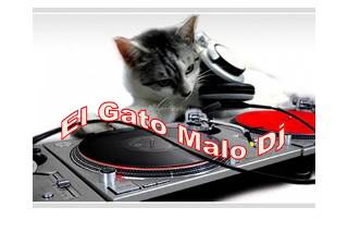 Dj El Gato Malo Flaviano