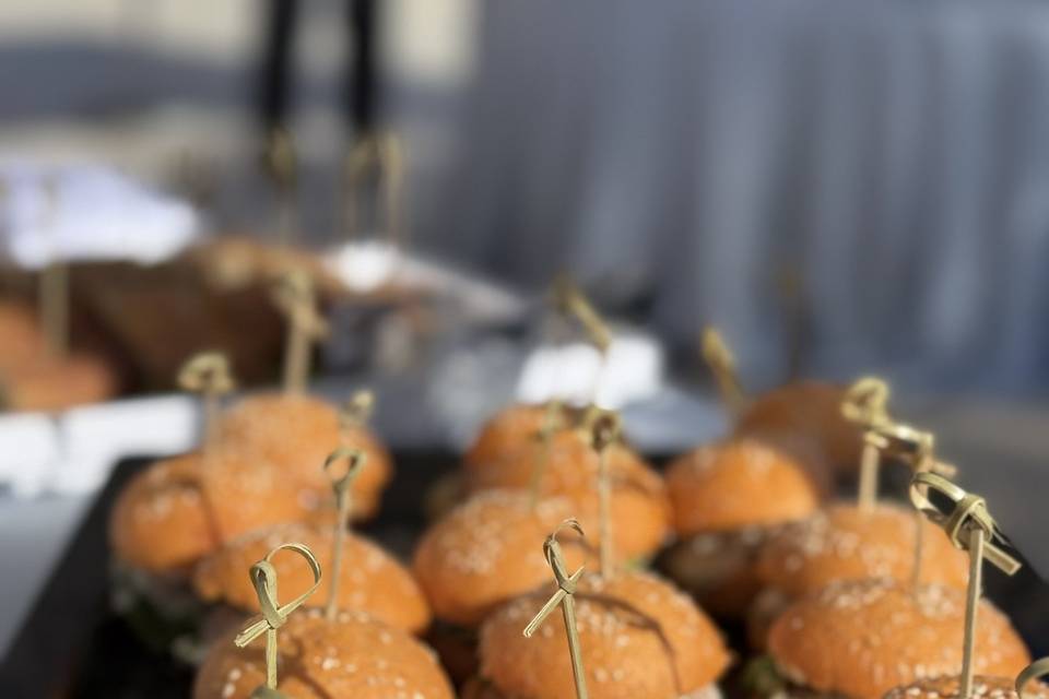 Paninetti
