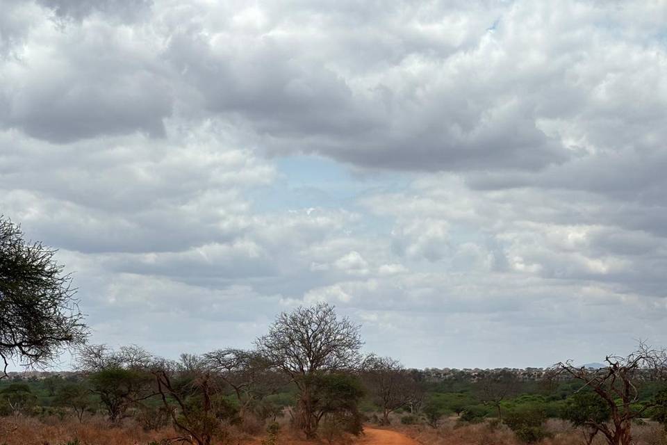 Africa - Safari in Kenya