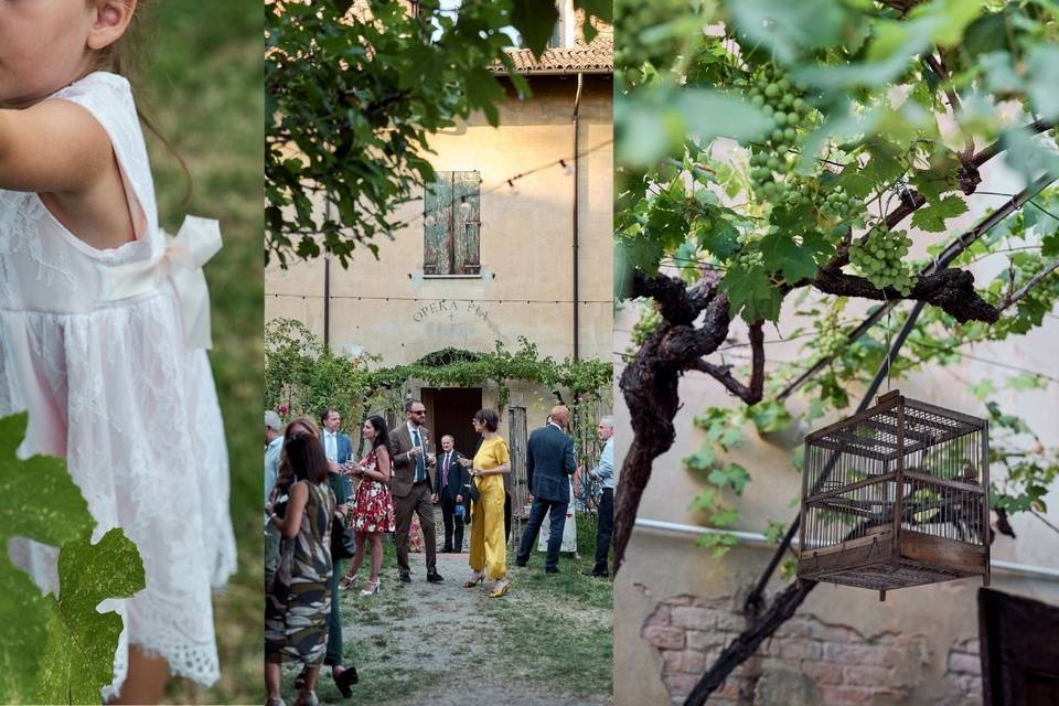 Giardino