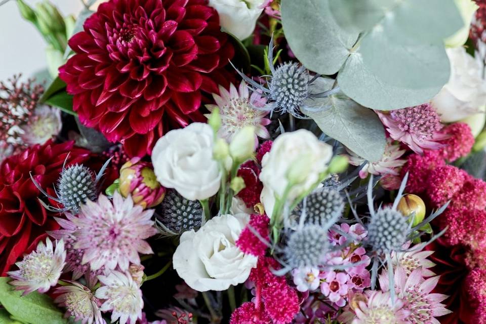 Fiori