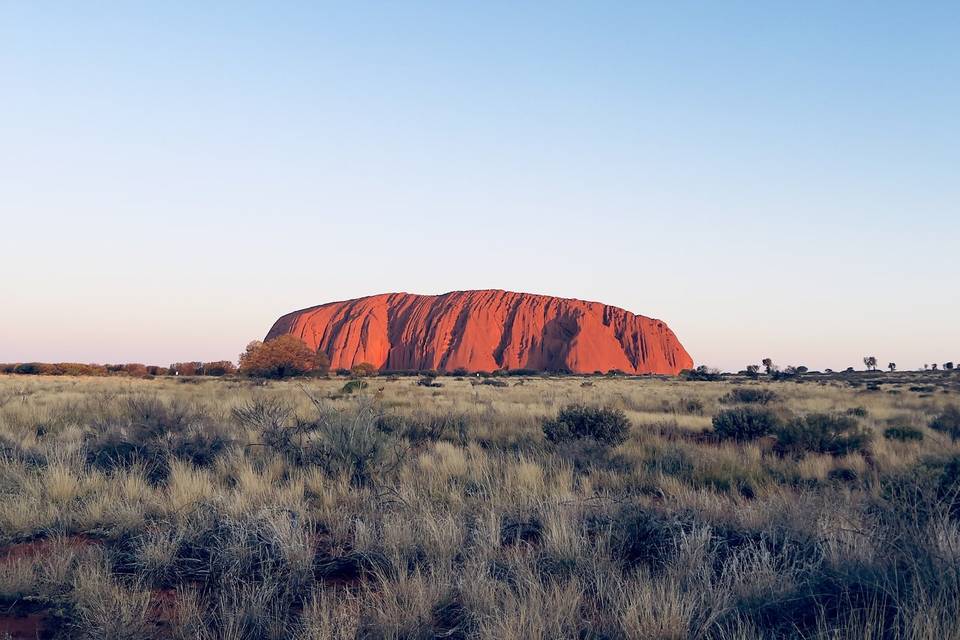 Uluru - honeymoon - wedding