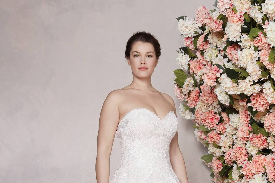 Atelier Davida Sposa