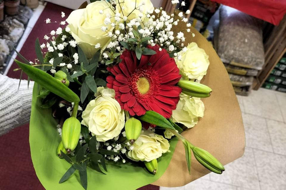 Rose bianche