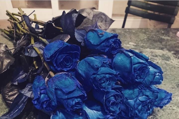 Rose blu la semplicità, bella!