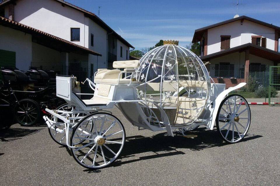 Carrozza di cenerentola