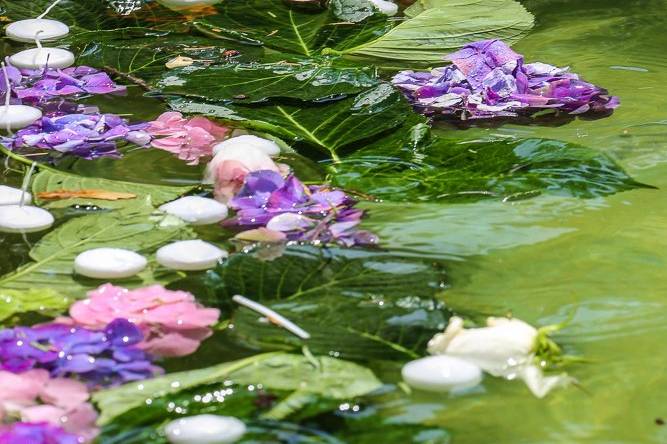 Fontana con petali e candele