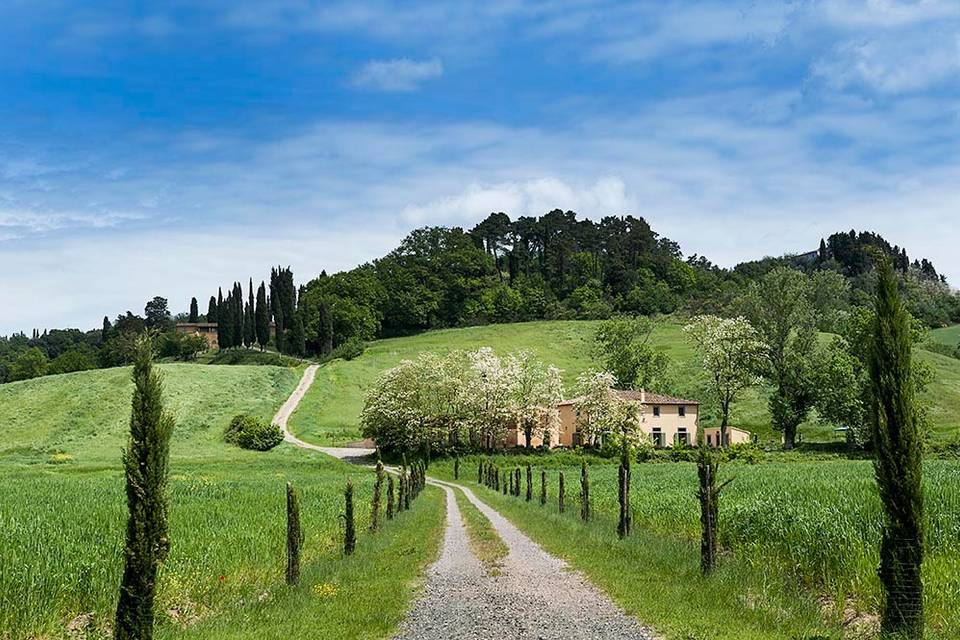 Tenuta di Ghizzano