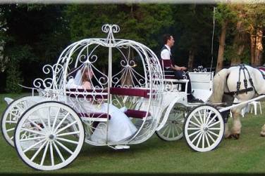 Carrozza fiabesca a Milano