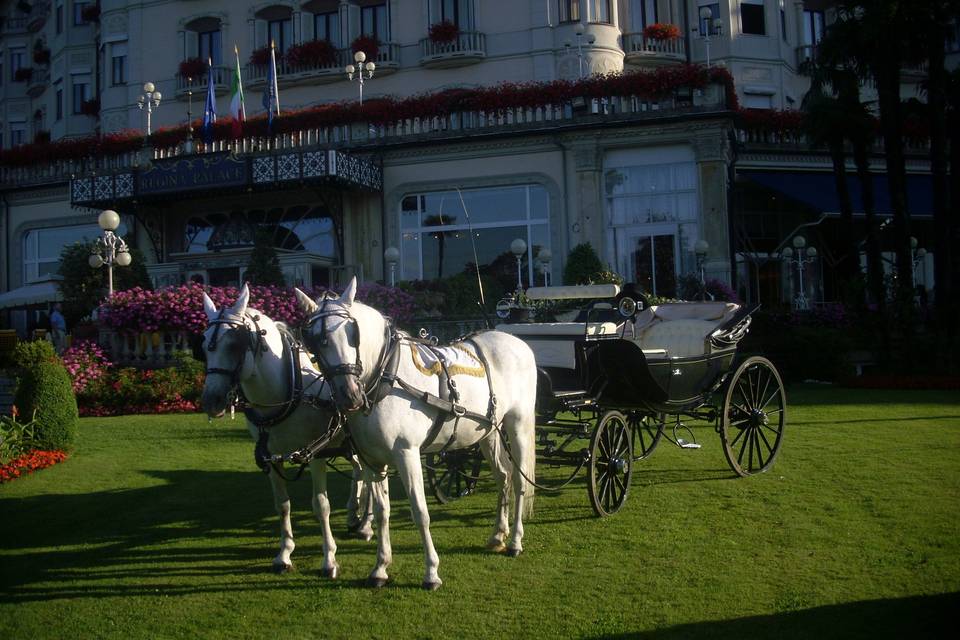 Carrozza blu interni bianchi