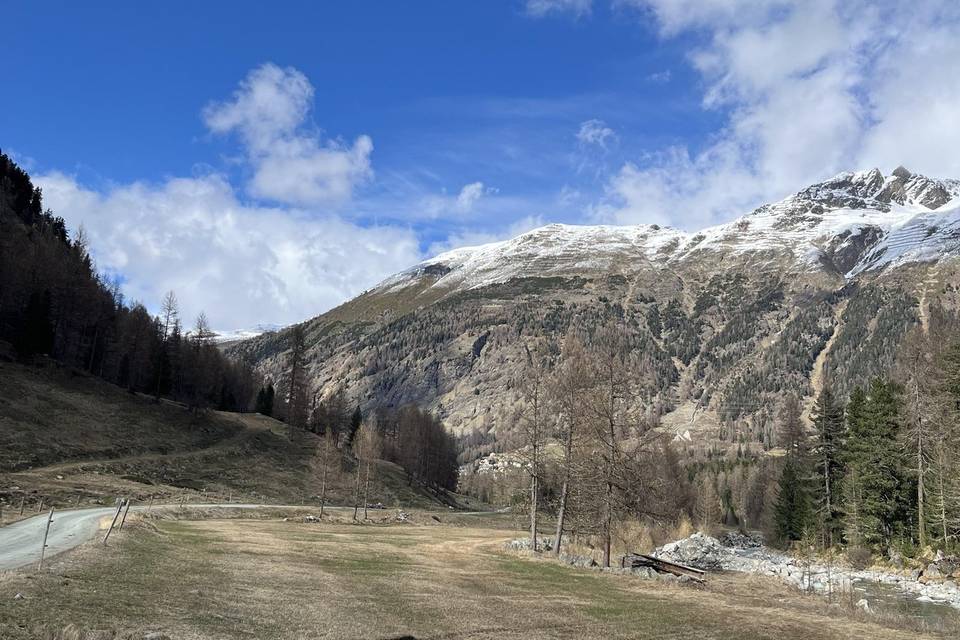Svizzera