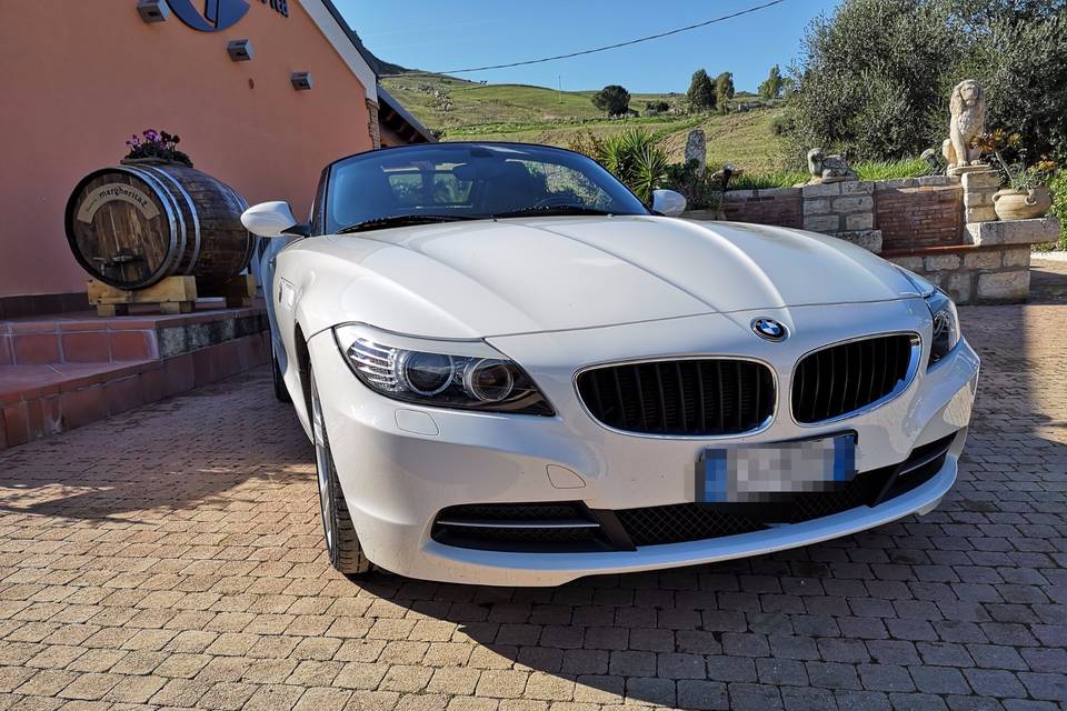 Bmw z4-b