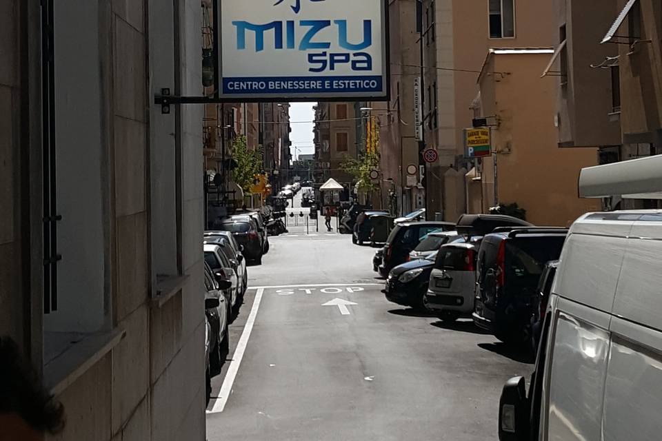 Insegna Mizu