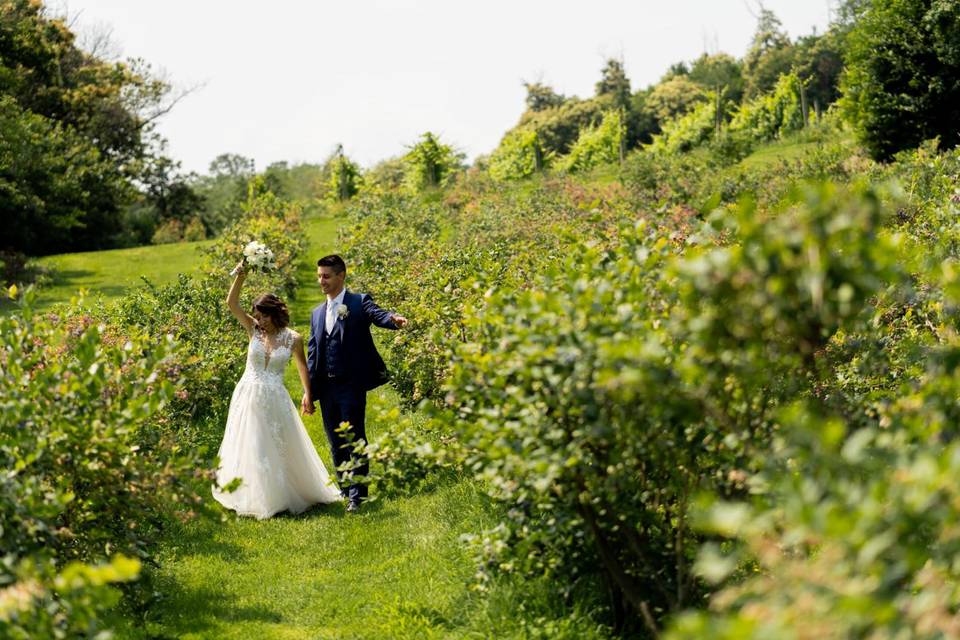 Arrivo della sposa