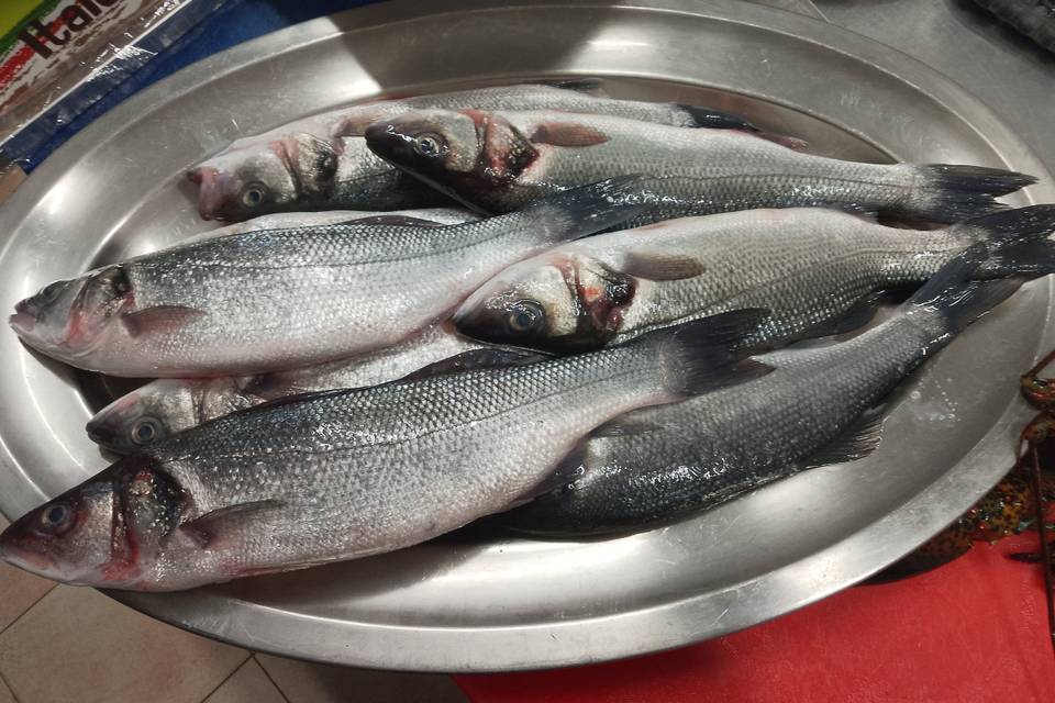 Pescato fresco