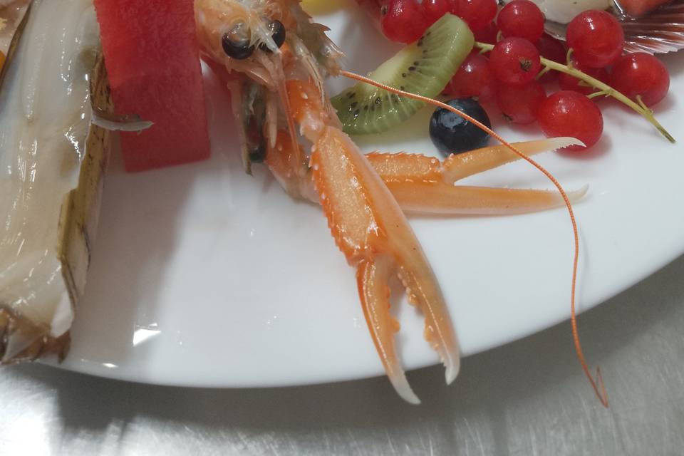 Crudo di mare