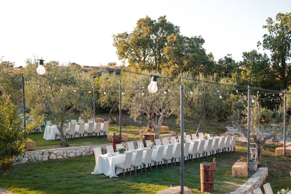 Wedding Day - Uliveto