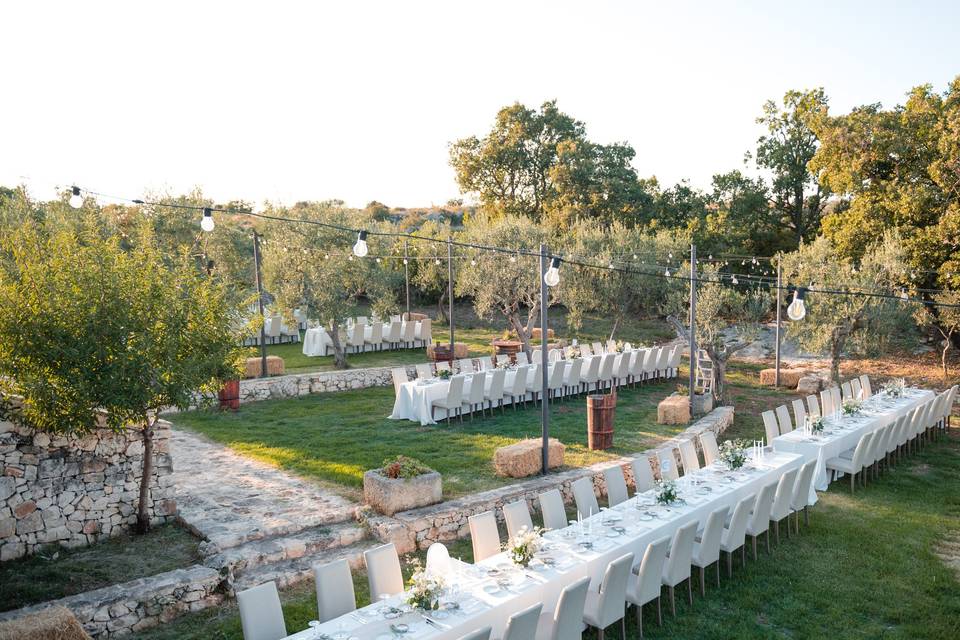 Wedding Day - Uliveto