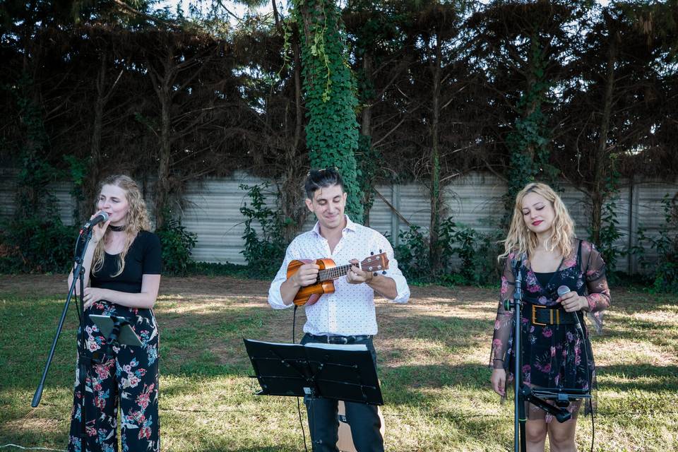 SoulShake trio e ukulele