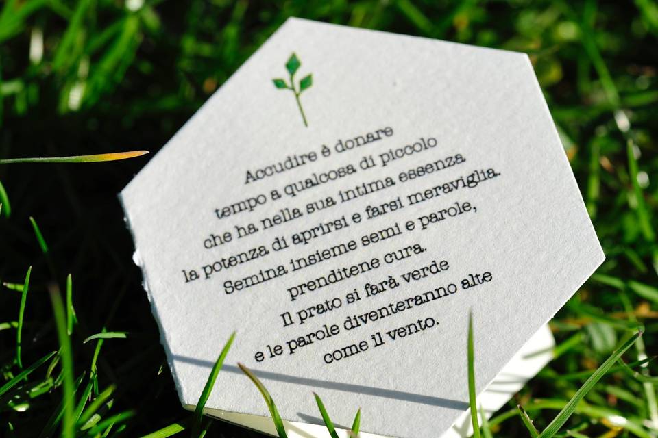 Parole da Seminare Pieghevole
