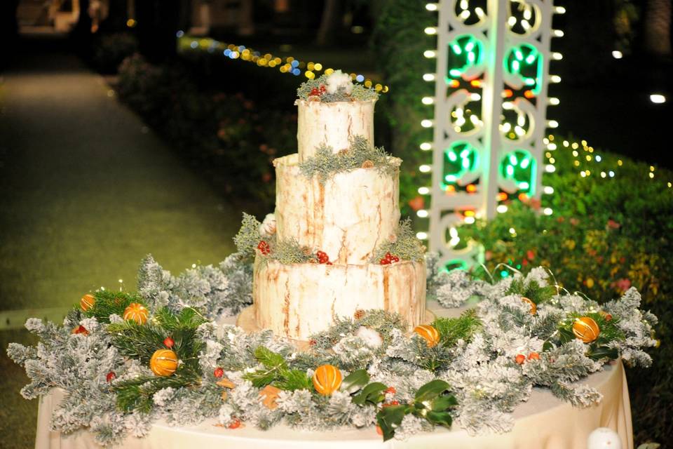 Winter Wedding Cake