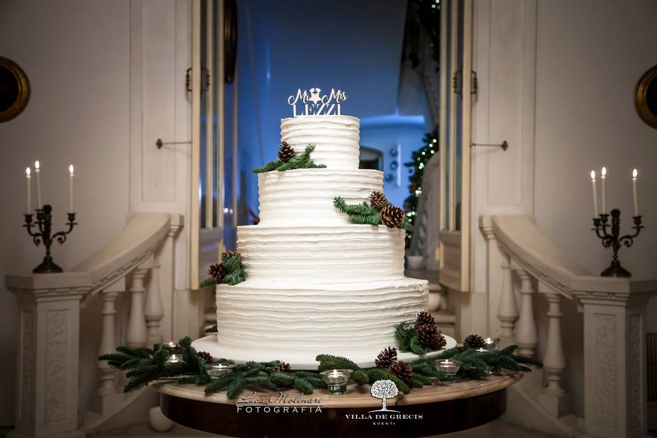 Winter wedding cake