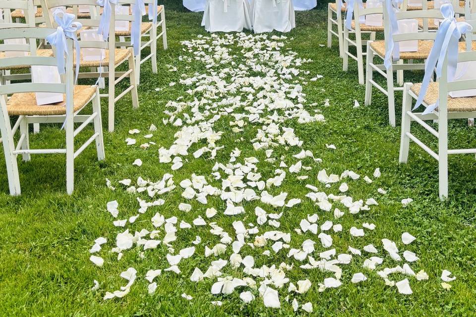 Wedding Day