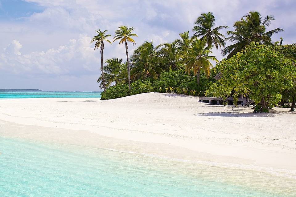 Maldive