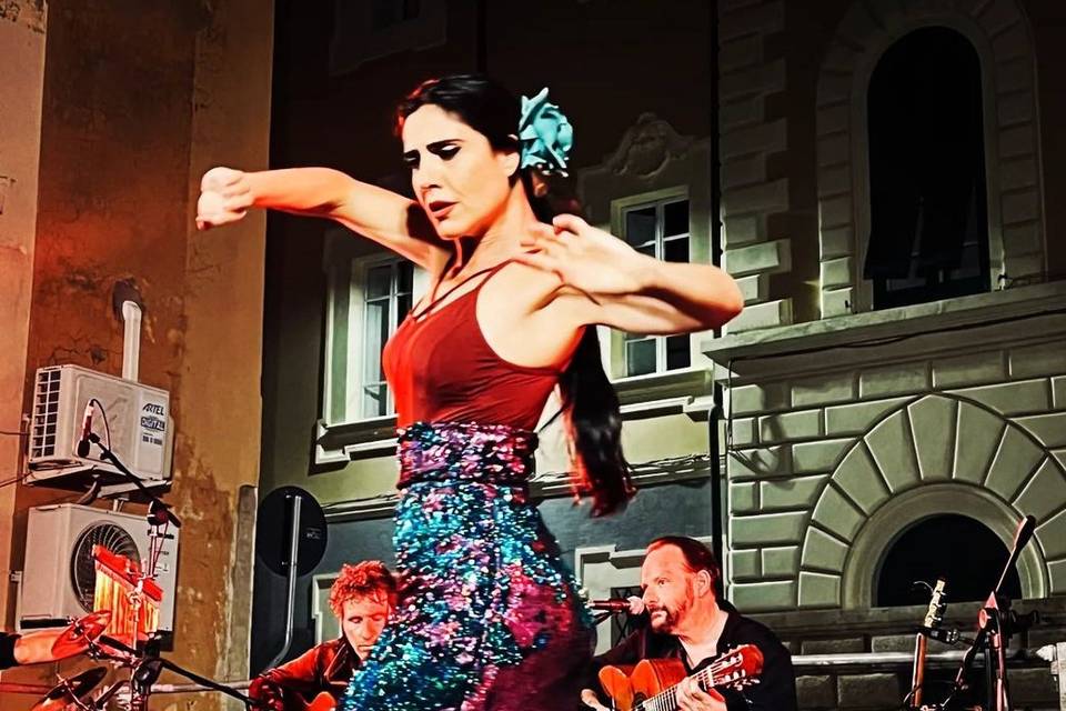 Flamenco Fusion