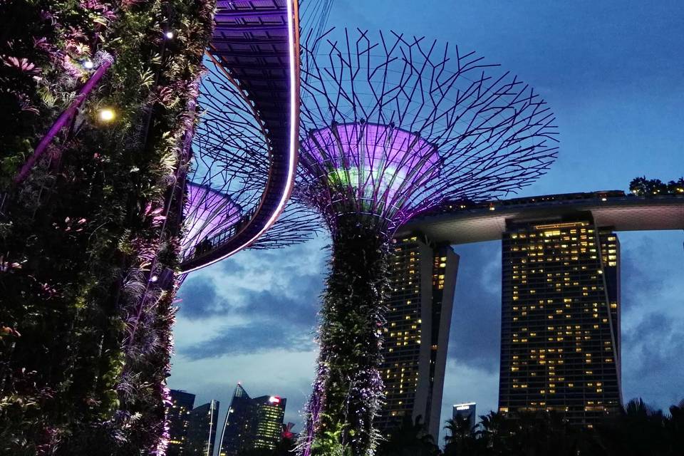 Singapore