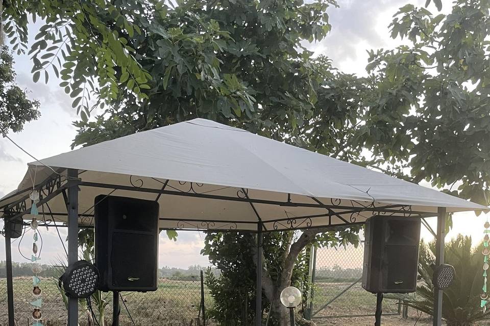 Summer party