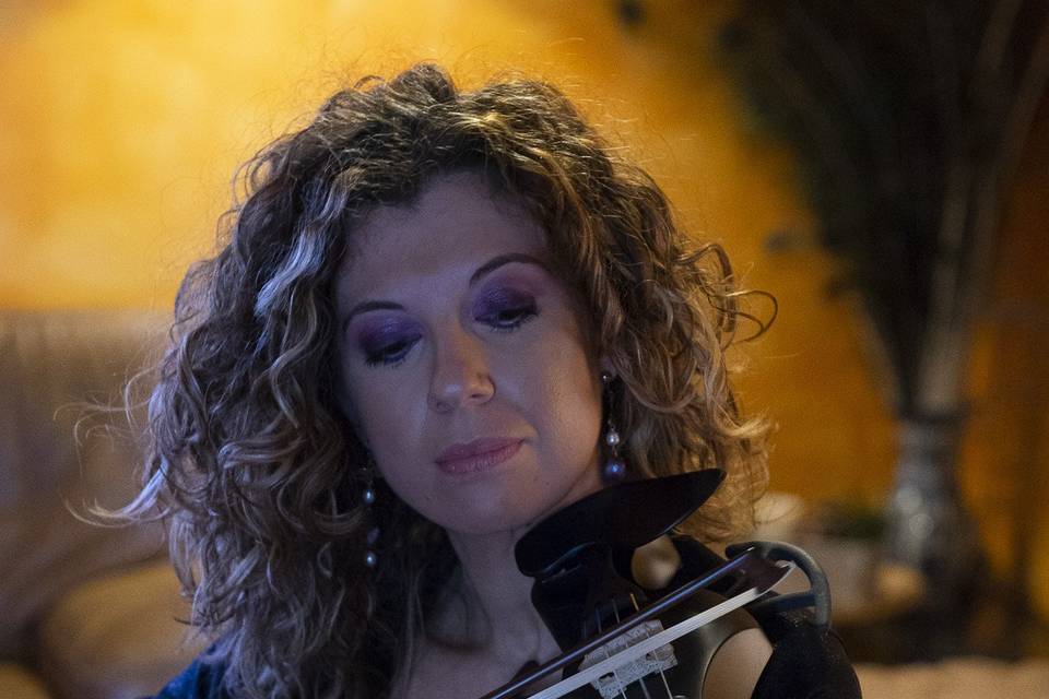 Violino Elettrico 1