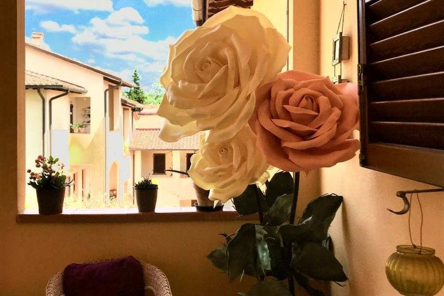 Rose da esterno