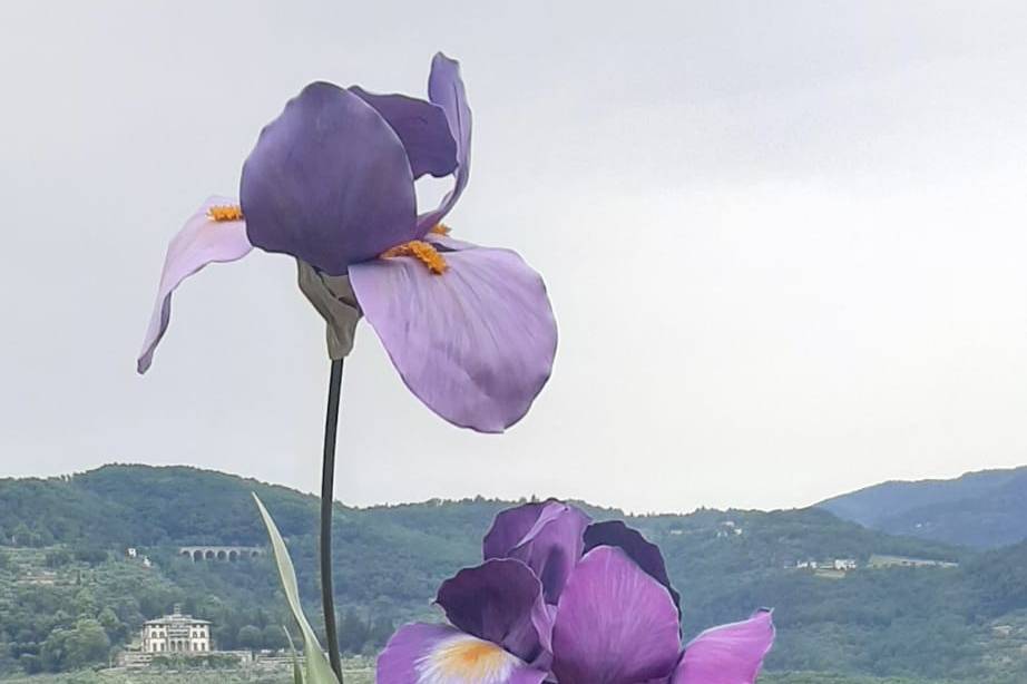 Iris bouquet