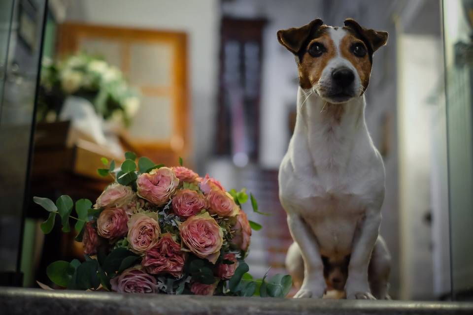 Fotografo-matrimonio-Piemonte