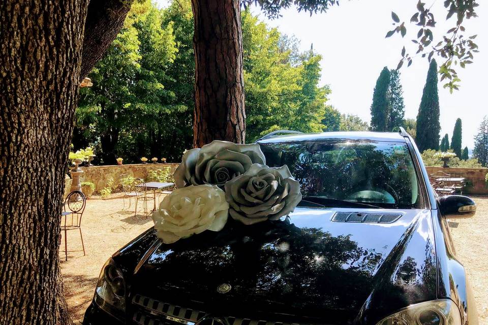 Rose giganti per auto