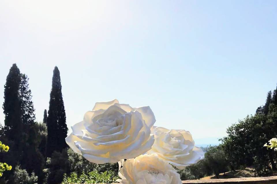 Trio bianco in Terrazza