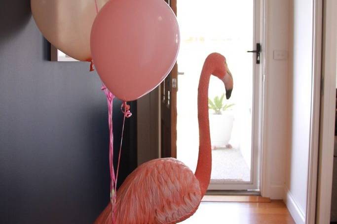 Flamingo party