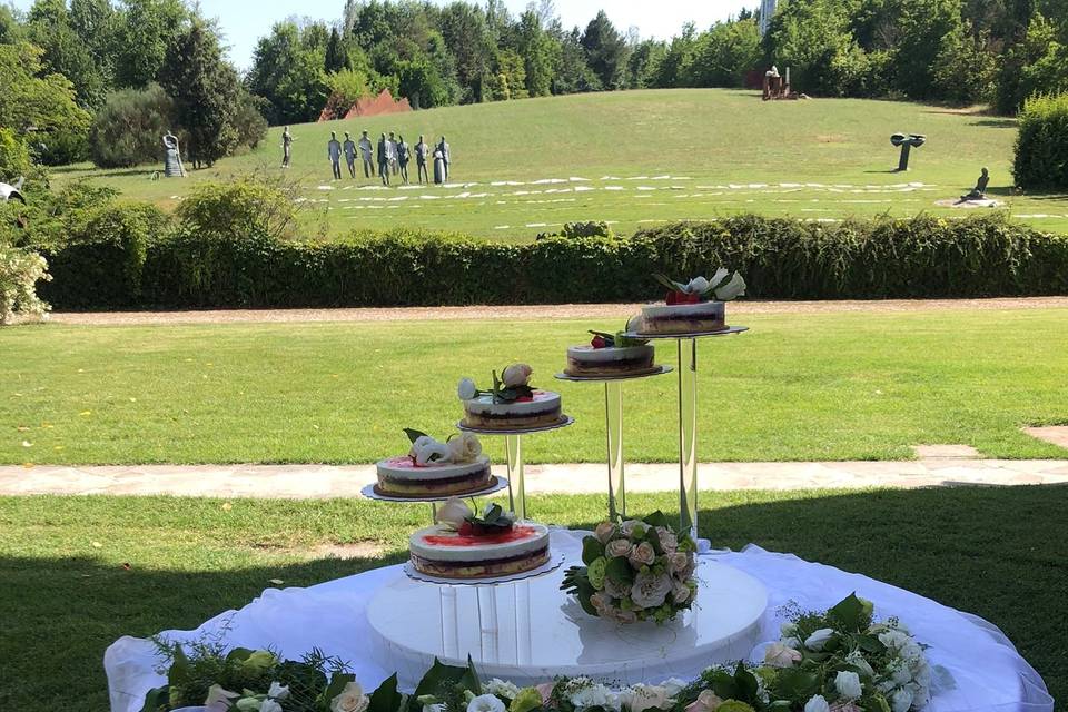 Taglio della Torta nel prato