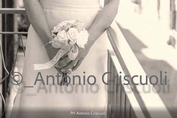 © A Criscuoli