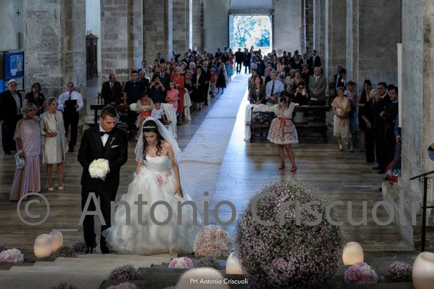 © A Criscuoli