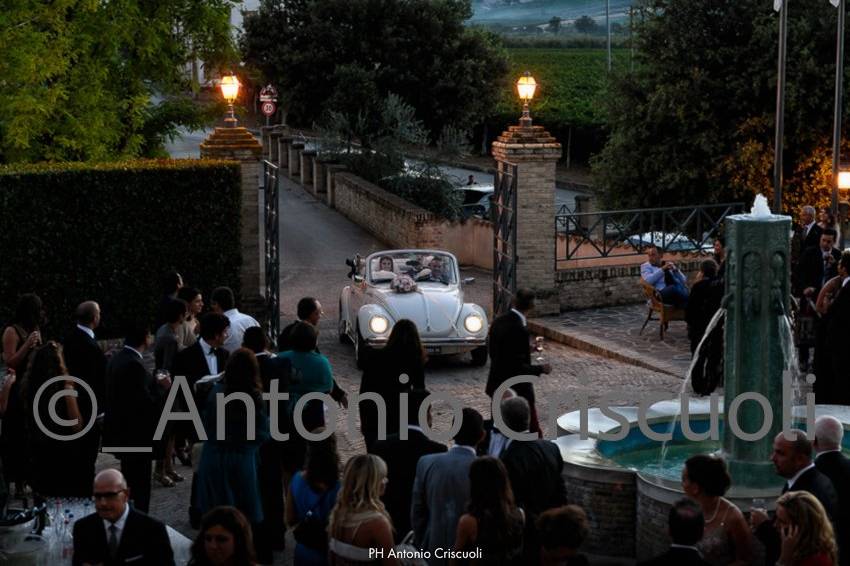 © A Criscuoli