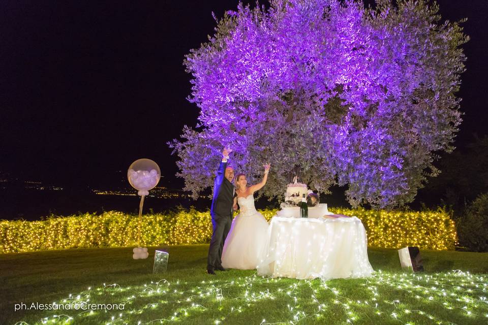 Torta e Prato illuminato